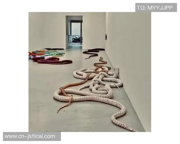 加莱诺：探索艺术与生活交融的奇妙旅程与启示